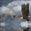 Photo taken by: Jody Melanson (jmelanson)