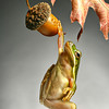 SmugMug > all-time keyword > digital grin > bgaras2001 - Autumn Harvest (SF4)