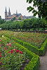 SmugMug > all-time keyword > bamberg > Rosengarten.