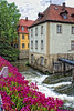 SmugMug > all-time keyword > bamberg > Regnitz River.