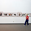 SmugMug > all-time keyword > butterfly exhibition > Butterfly Rainforest photo