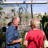 SmugMug > all-time keyword > butterfly exhibition > Butterfly Rainforest photo